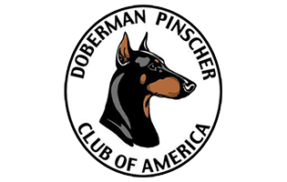 doberman-club-of-america