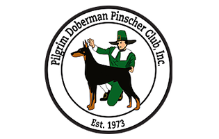 pilgrim-doberman-club