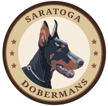 saratoga-dobermans-logo-tan